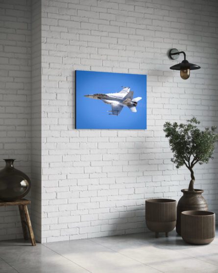 FA18 / MICHAEL SELGE - Image 3