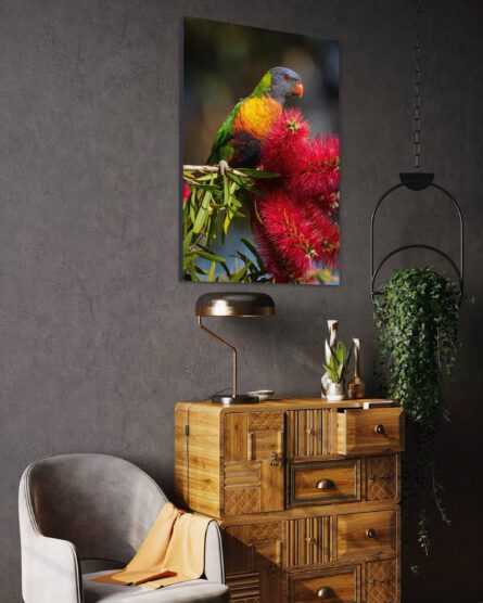 Lorikeet / MICHAEL SELGE - Image 5