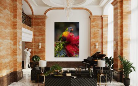 Lorikeet / MICHAEL SELGE - Image 3