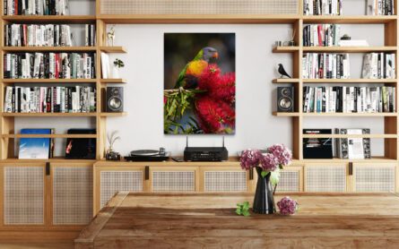 Lorikeet / MICHAEL SELGE - Image 2