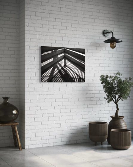 SHADOWS / MICHAEL SELGE - Image 4