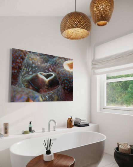 GIANT CLAM SIPHON / GREAT BARRIER REEF / PETE GARDNER - Image 4
