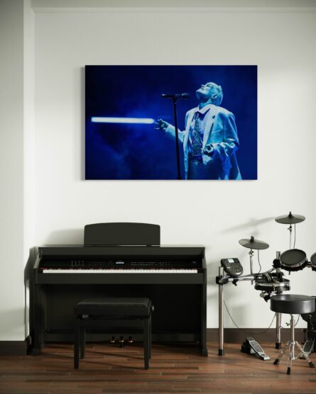 FEVER RAY / SYDNEY OPERA HOUSE / DAN TURNER - Image 3