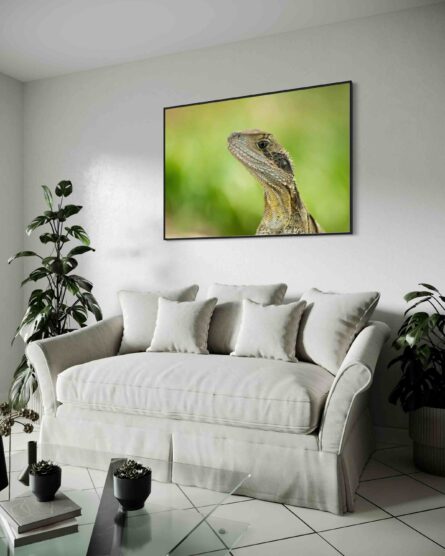 REPTILE / PETE GARDNER - Image 3