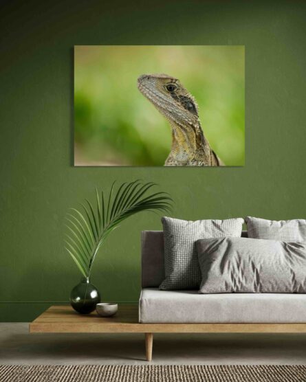 REPTILE / PETE GARDNER - Image 5