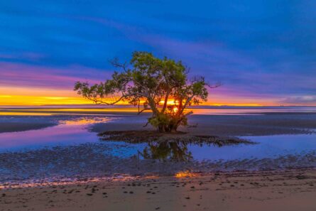 NUDGEE BEACH SUNRISE / TAM SCHILLING