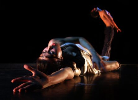AUSTRALIAN DANCE THEATRE, WOMADELAIDE / ALEC SMART