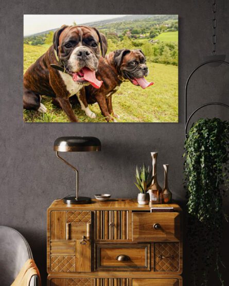 BOXER DOGS / ALEC SMART - Image 2