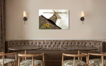 BUCKLAND WINDMILL, SURREY, UK / ALEC SMART - Image 2
