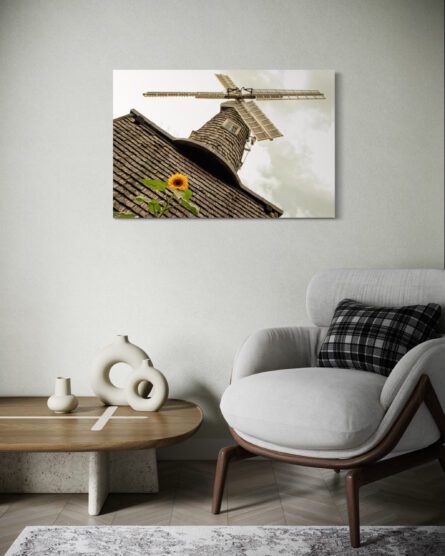 BUCKLAND WINDMILL, SURREY, UK / ALEC SMART - Image 3