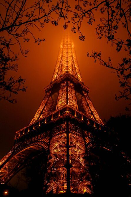 EIFFEL TOWER AT NIGHT / ALEC SMART