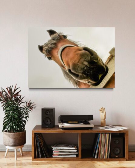 HORSEHEAD, DENMARK / ALEC SMART - Image 5