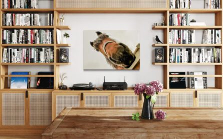HORSEHEAD, DENMARK / ALEC SMART - Image 4