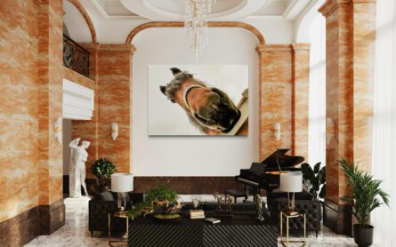 HORSEHEAD, DENMARK / ALEC SMART - Image 3