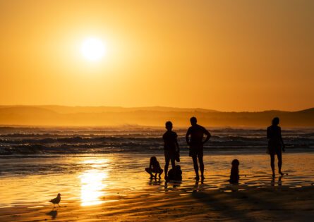 BEACH 2020 / MICHAEL SELGE