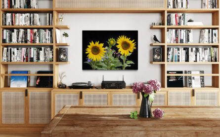 EMERGING SUNFLOWER /  MICHAEL SELGE - Image 2