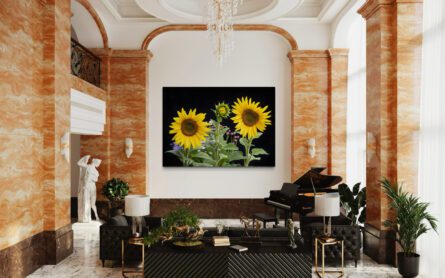EMERGING SUNFLOWER /  MICHAEL SELGE - Image 3