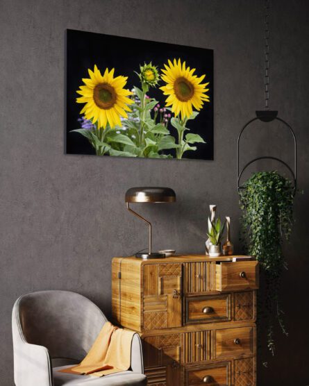 EMERGING SUNFLOWER /  MICHAEL SELGE - Image 4