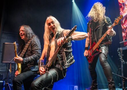 HAMMERFALL 4  / LION ARTS / MICHAEL SELGE