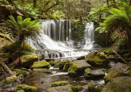 TASSIE FALLS / MICHAEL SELGE