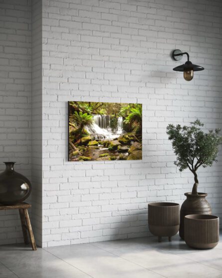 TASSIE FALLS / MICHAEL SELGE - Image 2