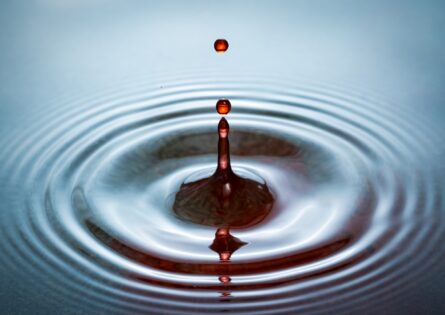 WATERDROPS / MICHAEL SELGE