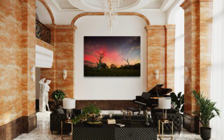 WISTOW AURORA / MICHAEL SELGE - Image 3