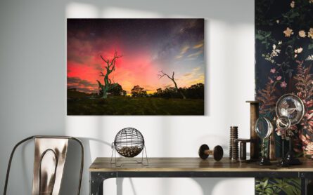 WISTOW AURORA / MICHAEL SELGE - Image 5
