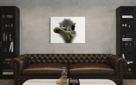 OSTRICH / ALEC SMART - Image 3