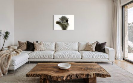 OSTRICH / ALEC SMART - Image 2