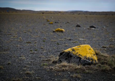 ICELAND TRACK MARKERS / ROB MEZZATESTA