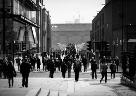 MILLENNIUM BRIDGE / ROB MEZZATESTA