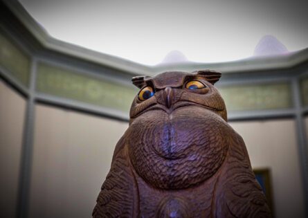 WOODEN OWL / ROB MEZZATESTA
