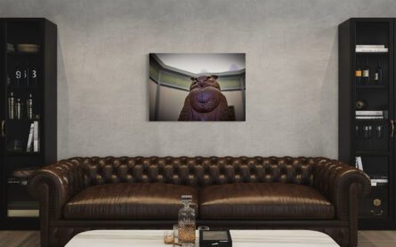 WOODEN OWL / ROB MEZZATESTA - Image 2